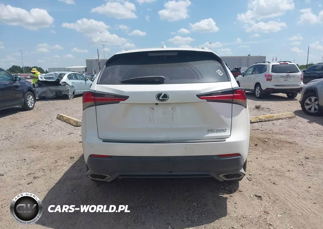 2019 Lexus Nx 300 VIN:JTJYARBZ3K2143416 - 16