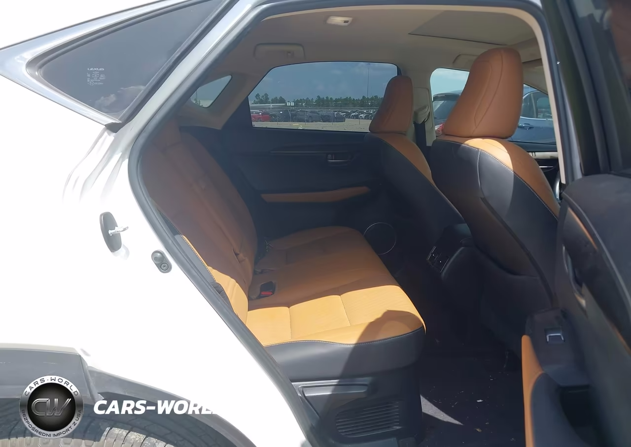 2019 Lexus Nx 300 VIN:JTJYARBZ3K2143416 - 17