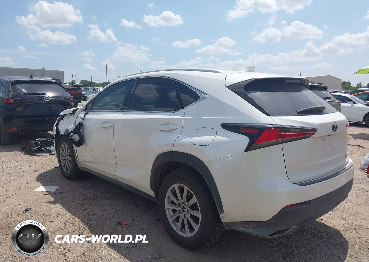 2019 Lexus Nx 300 VIN:JTJYARBZ3K2143416 - 3