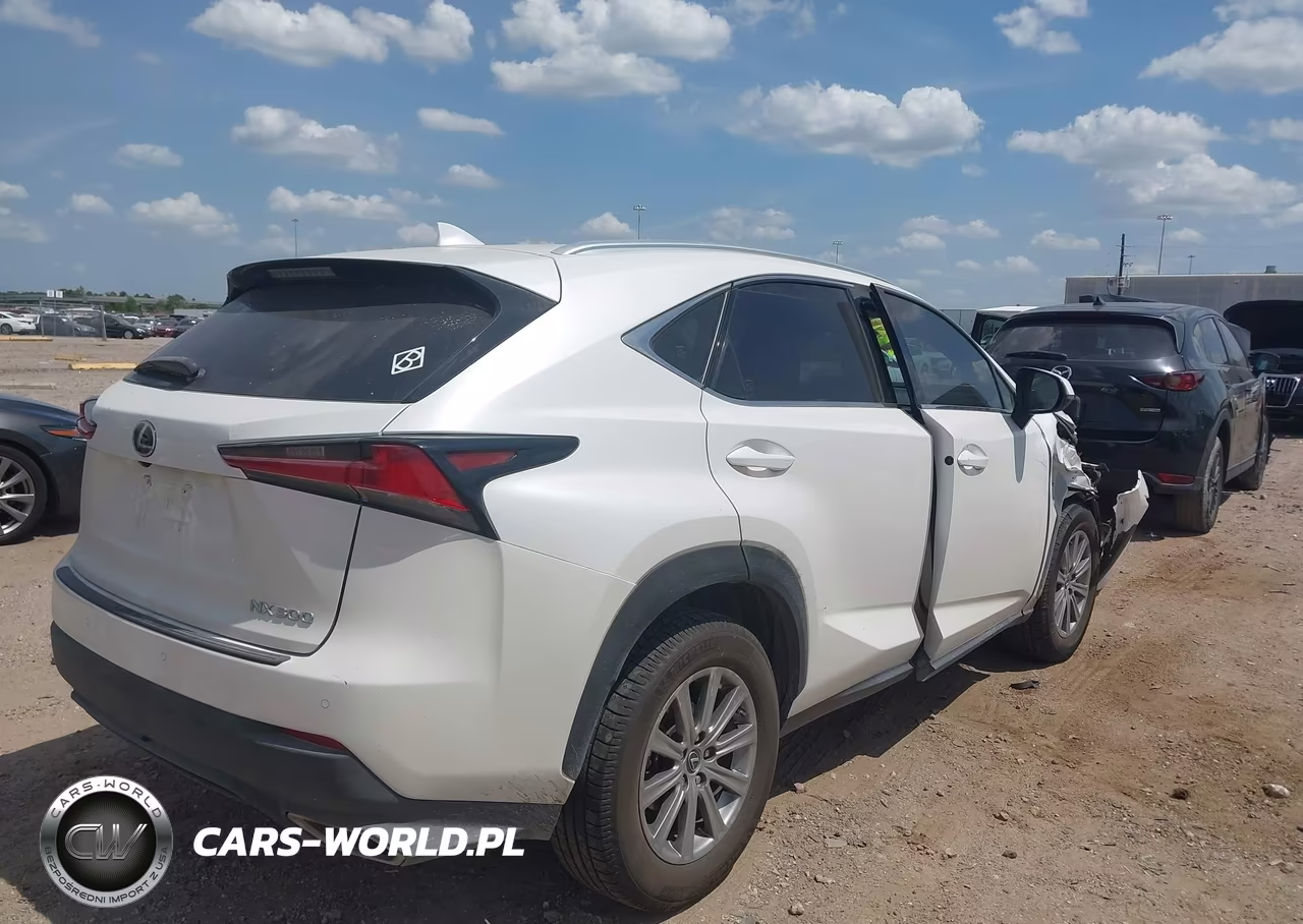2019 Lexus Nx 300 VIN:JTJYARBZ3K2143416 - 4