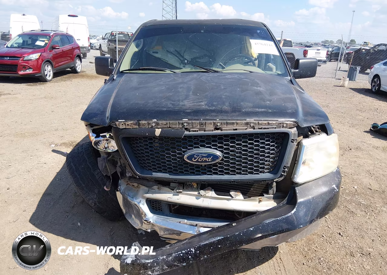 2004 Ford F-150 Stx-Xl-Xlt VIN:1FTRX12W94NA95595 - 6