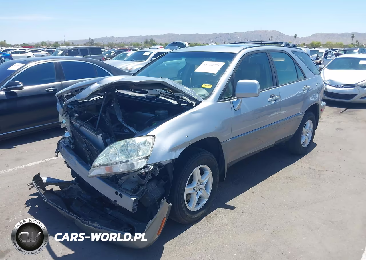 2002 Lexus Rx 300 VIN:JTJHF10U720252466 - 2