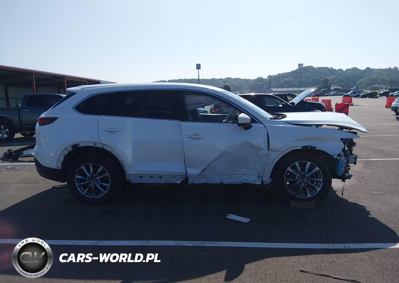 2019 Mazda Cx-9 Touring VIN:JM3TCACYXK0315751 - 14