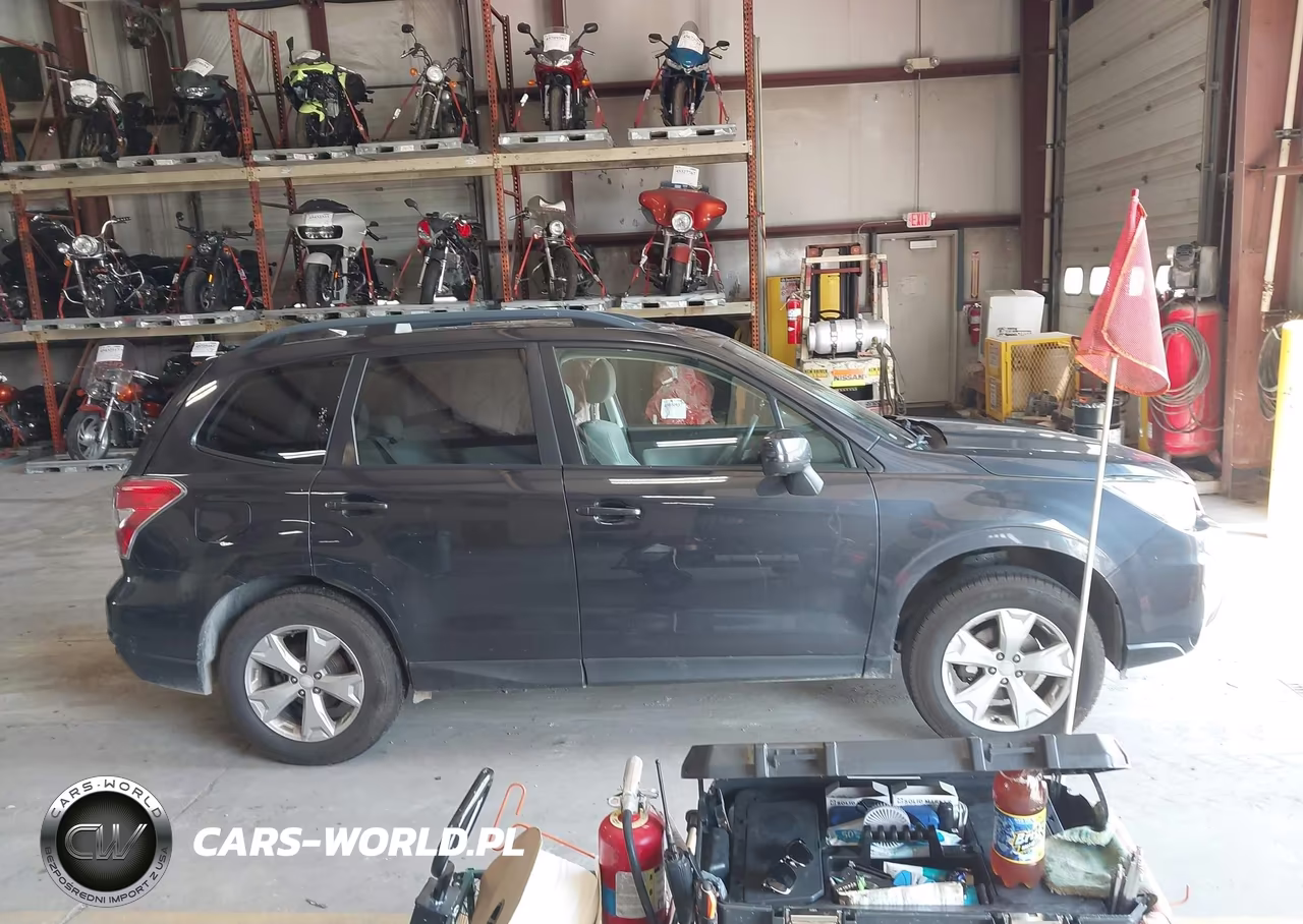 2016 Subaru Forester 2.5I Premium VIN:JF2SJADC3GH407744 - 13