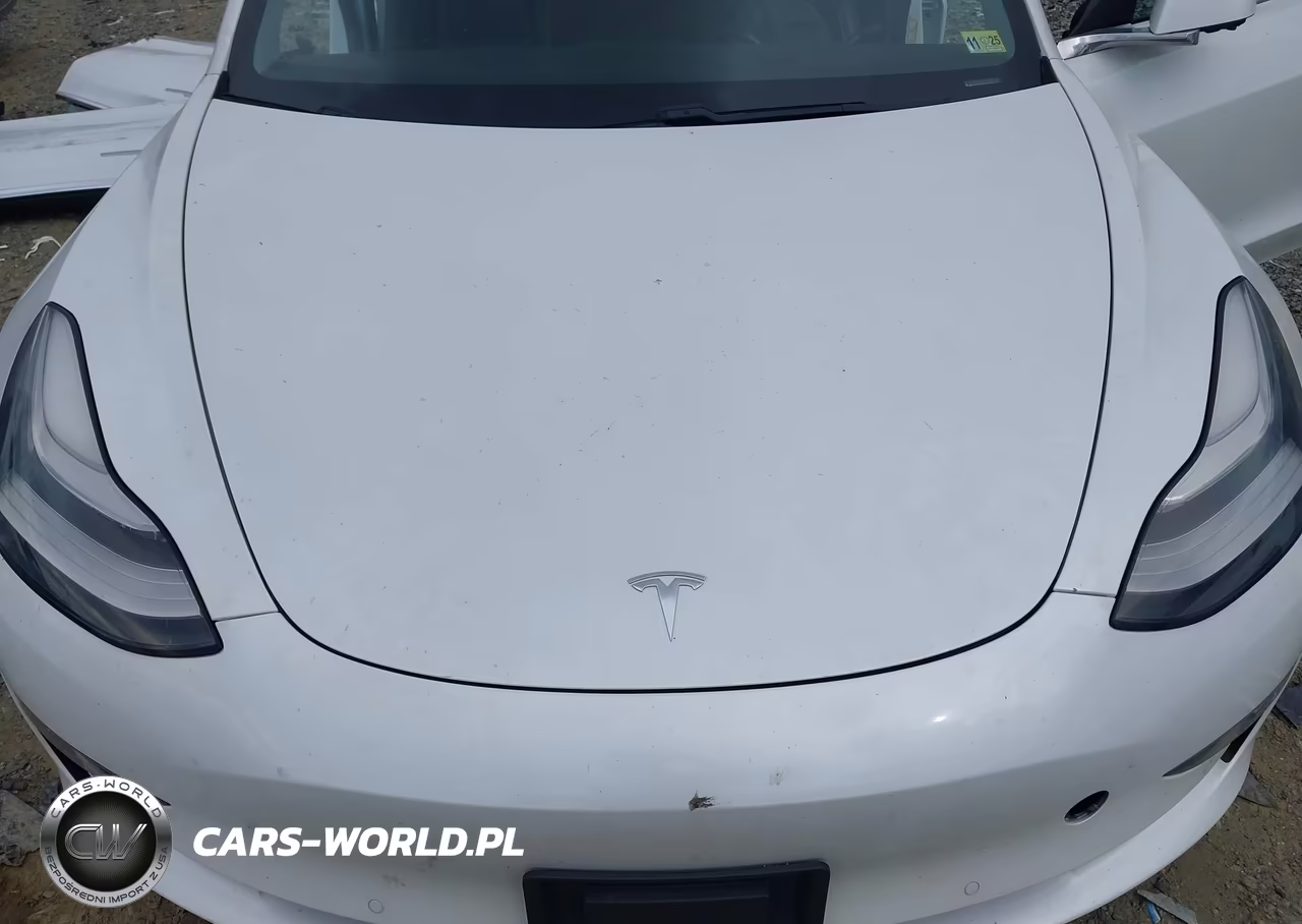 2020 Tesla Model 3 Standard Range Plus Rear-Wheel Drive-Standard Range Rear-Wheel Drive VIN:5YJ3E1EA3LF797324 - 10