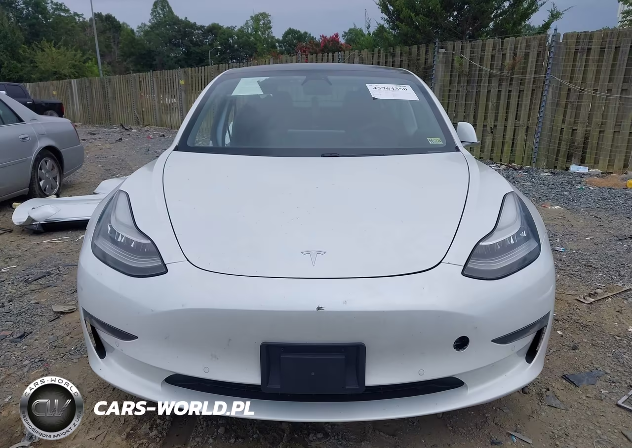 2020 Tesla Model 3 Standard Range Plus Rear-Wheel Drive-Standard Range Rear-Wheel Drive VIN:5YJ3E1EA3LF797324 - 12