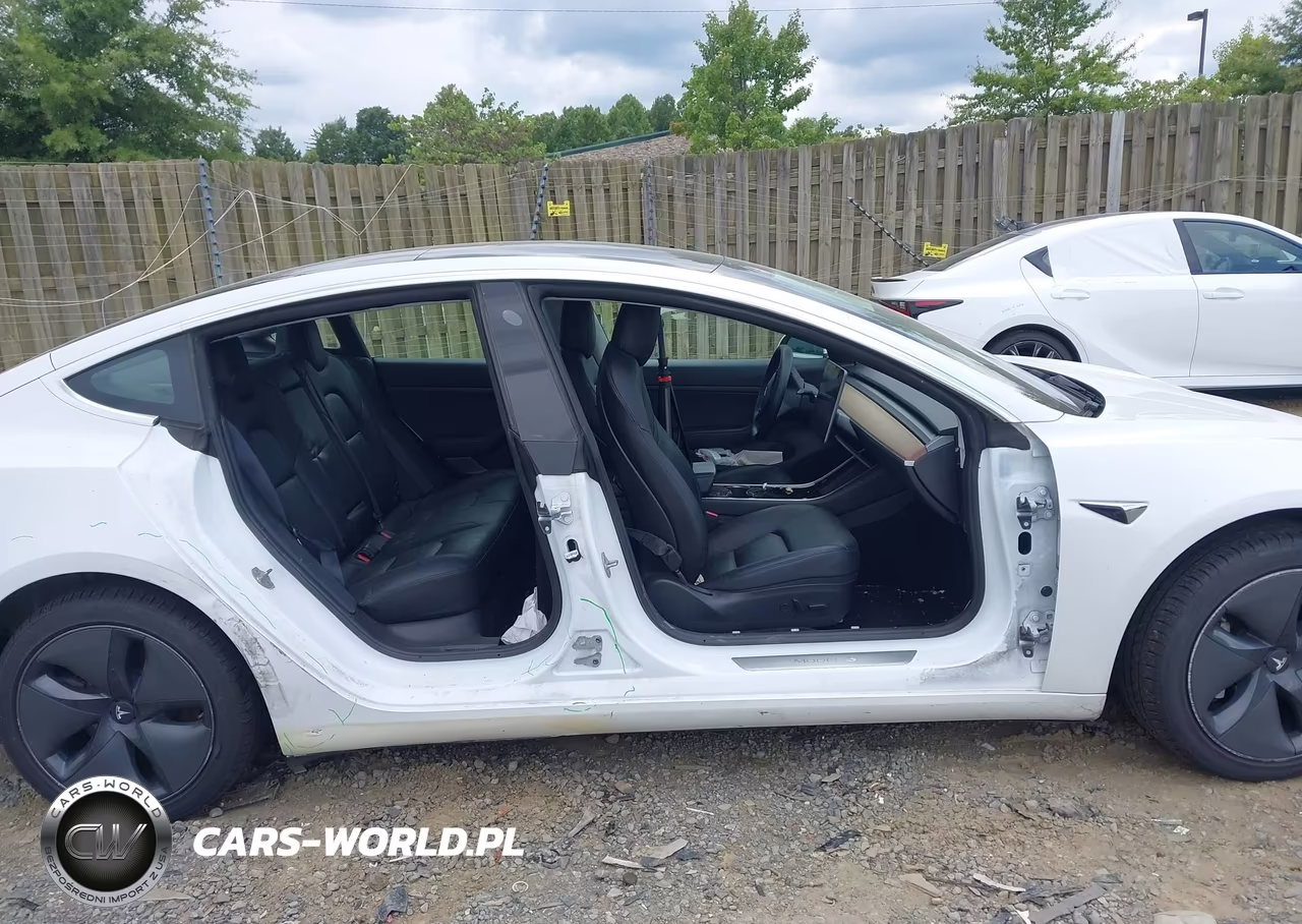 2020 Tesla Model 3 Standard Range Plus Rear-Wheel Drive-Standard Range Rear-Wheel Drive VIN:5YJ3E1EA3LF797324 - 13