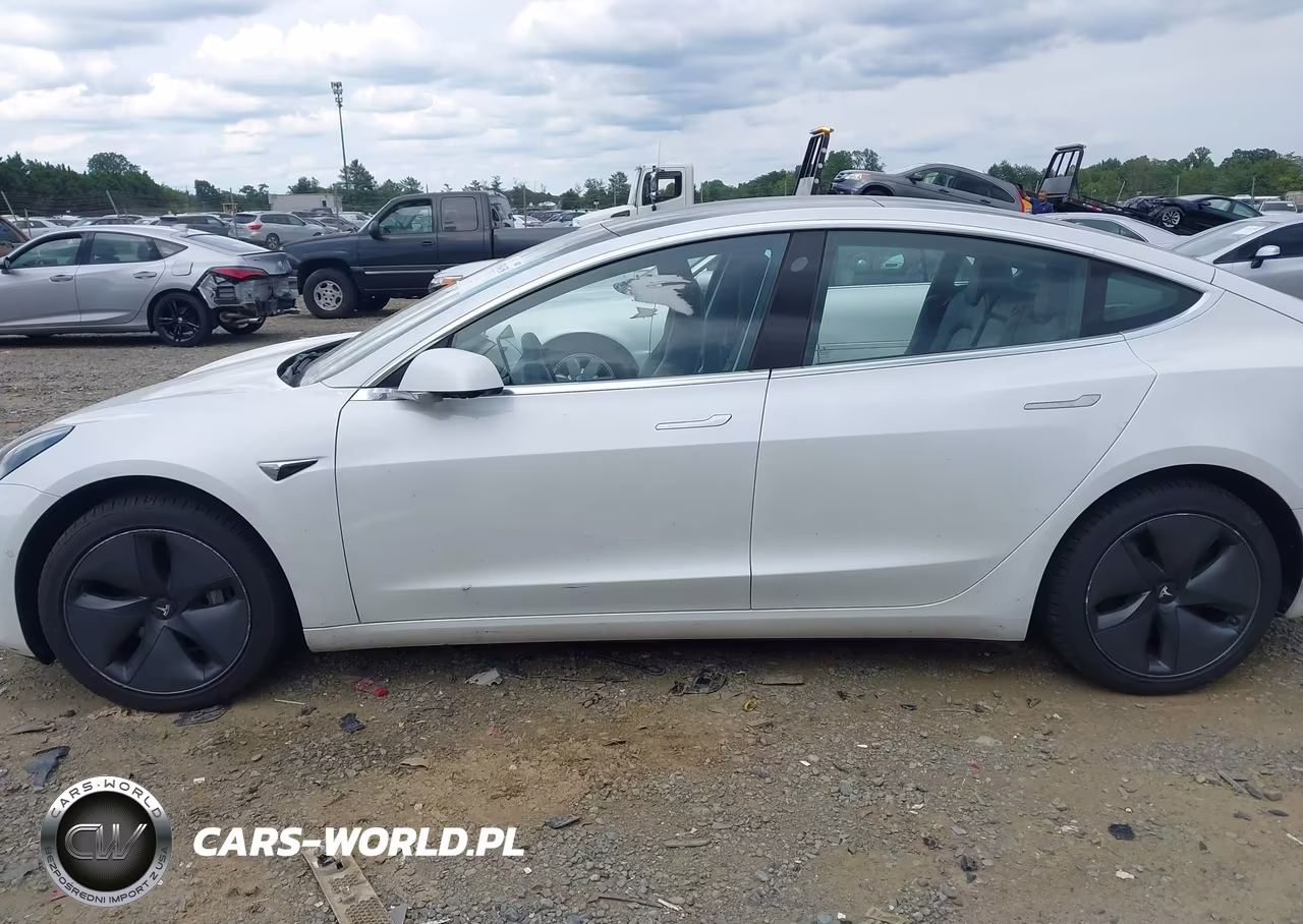 2020 Tesla Model 3 Standard Range Plus Rear-Wheel Drive-Standard Range Rear-Wheel Drive VIN:5YJ3E1EA3LF797324 - 14