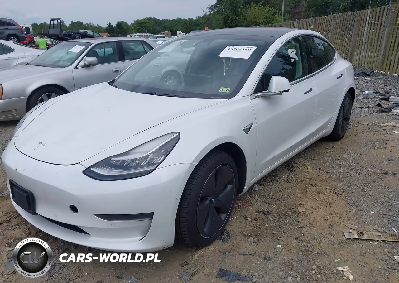 2020 Tesla Model 3 Standard Range Plus Rear-Wheel Drive-Standard Range Rear-Wheel Drive VIN:5YJ3E1EA3LF797324 - 2