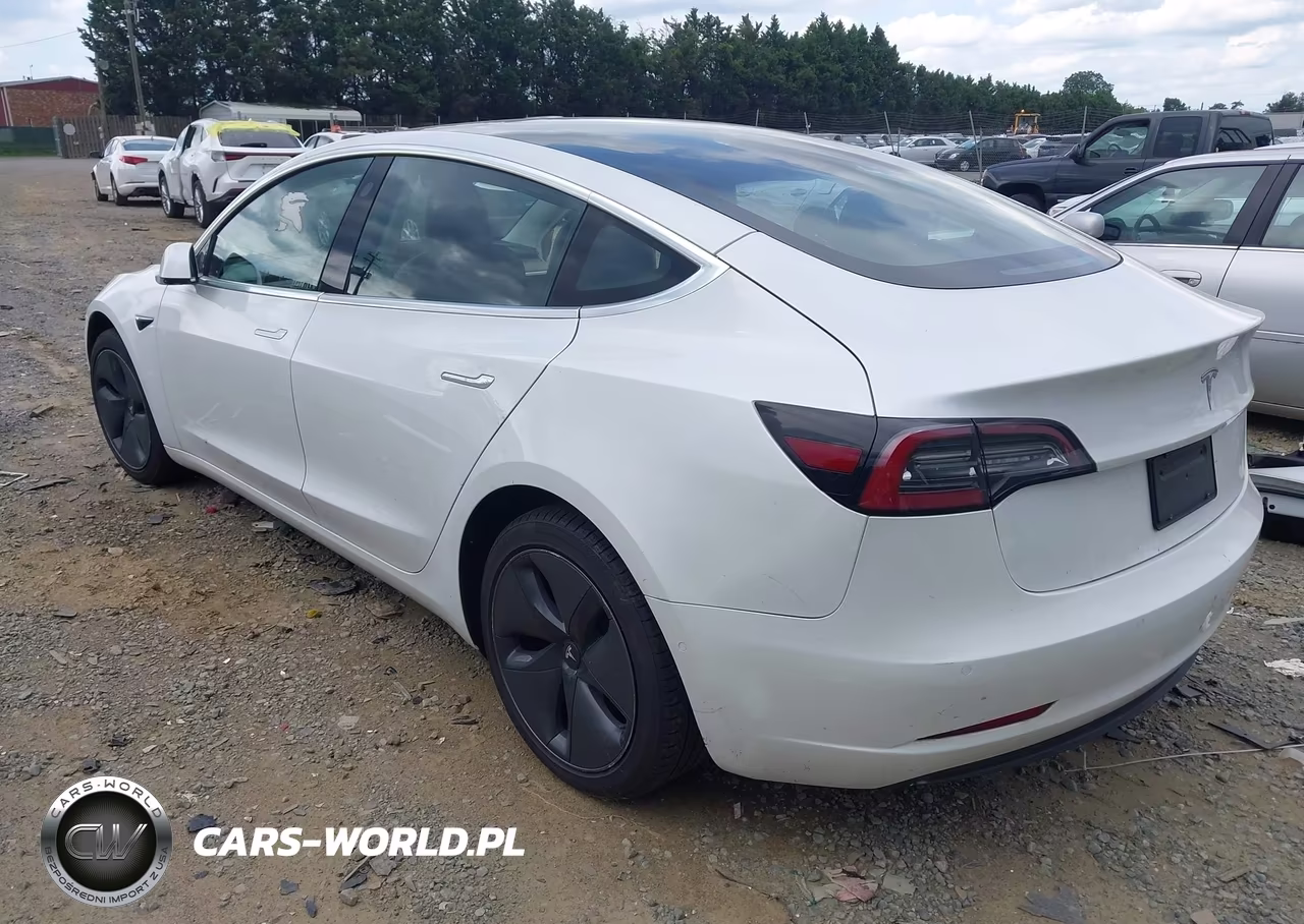 2020 Tesla Model 3 Standard Range Plus Rear-Wheel Drive-Standard Range Rear-Wheel Drive VIN:5YJ3E1EA3LF797324 - 3