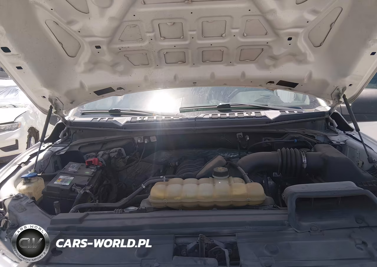 2019 Ford F-150 Xl VIN:1FTEW1E58KFC43716 - 10