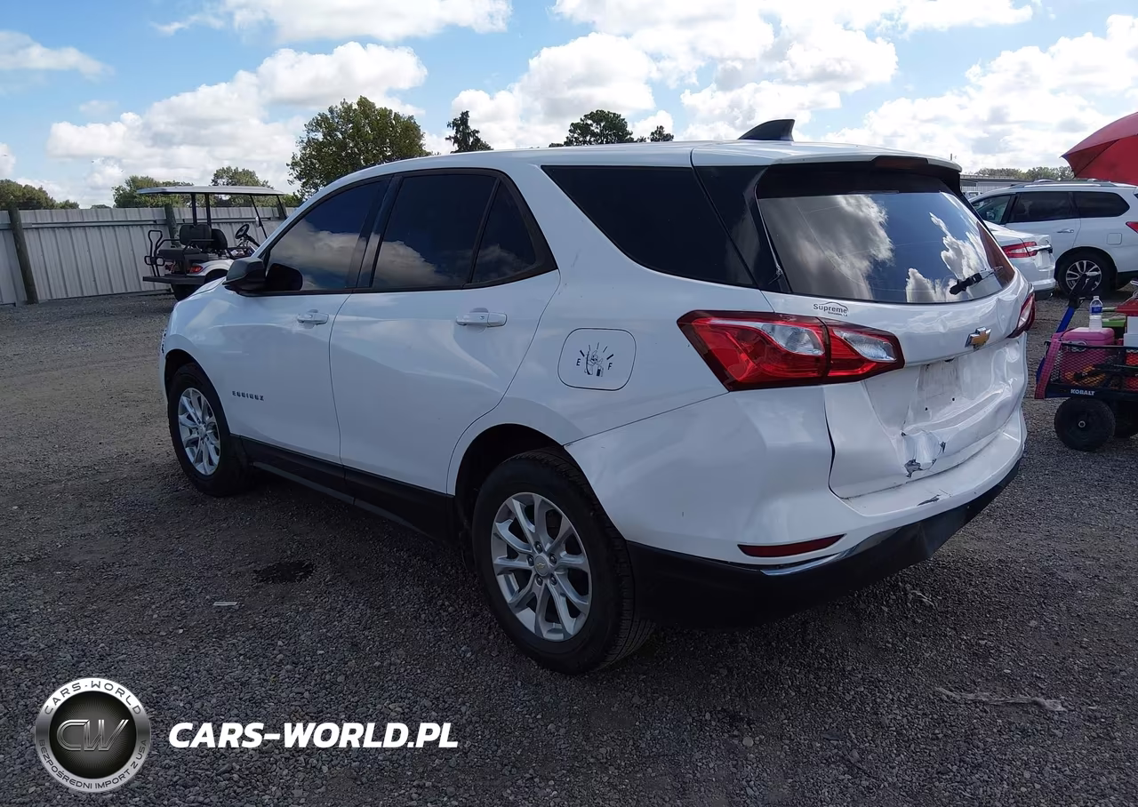 2018 Chevrolet Equinox Ls VIN:2GNAXHEV9J6319450 - 3