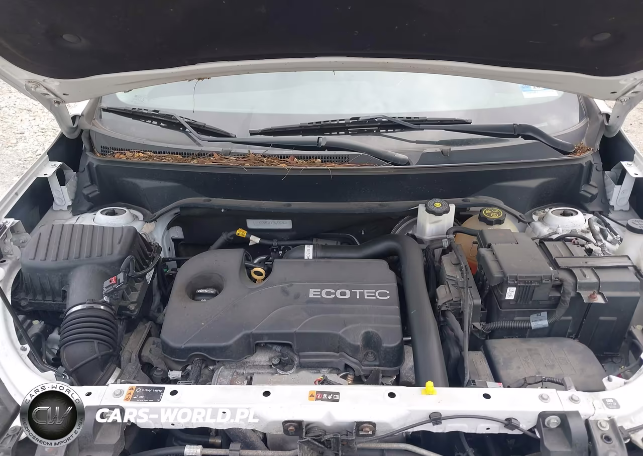 2019 Chevrolet Equinox Lt VIN:2GNAXUEV1K6120466 - 10