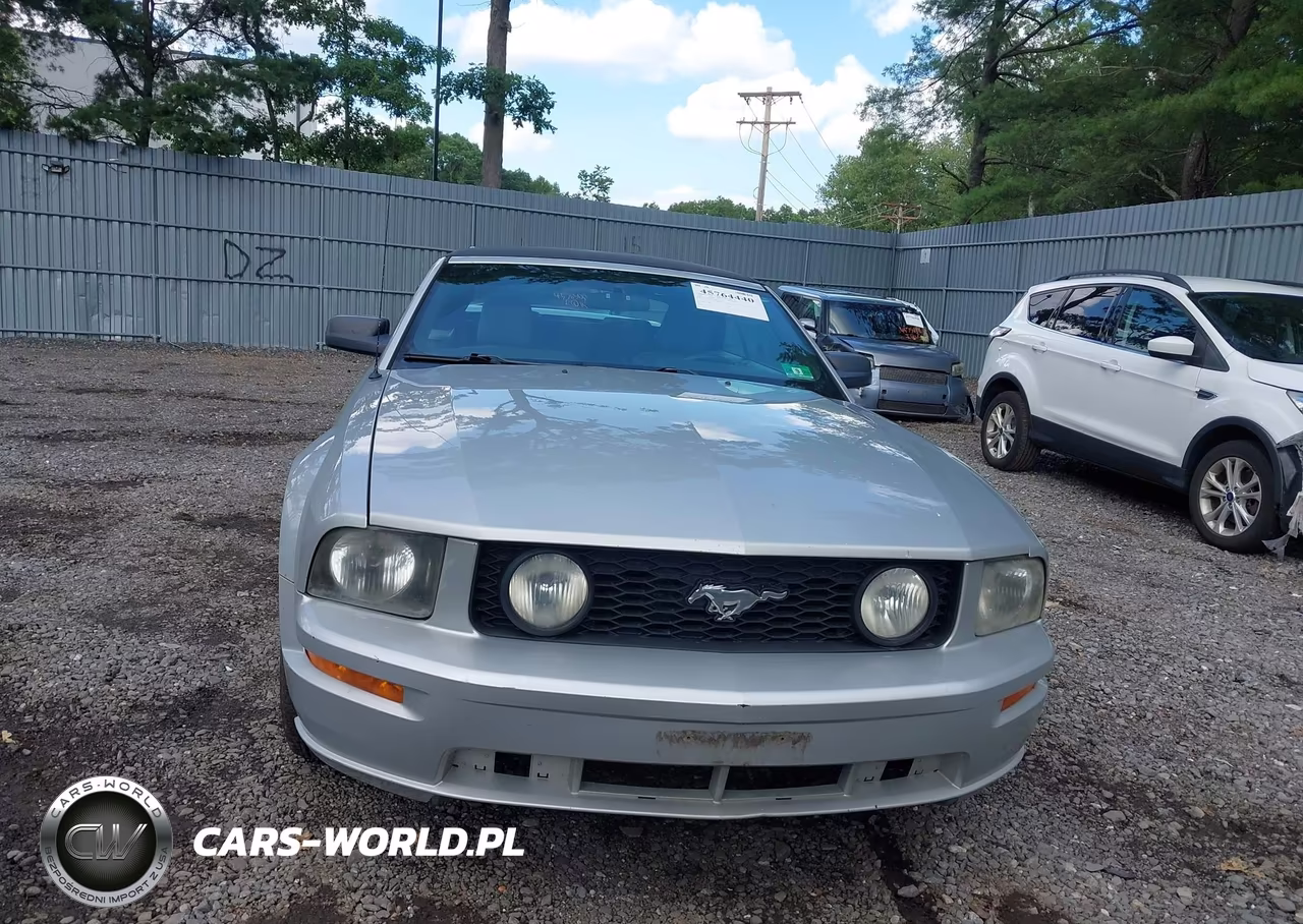 2005 Ford Mustang Gt VIN:1ZVHT85H555236206 - 12