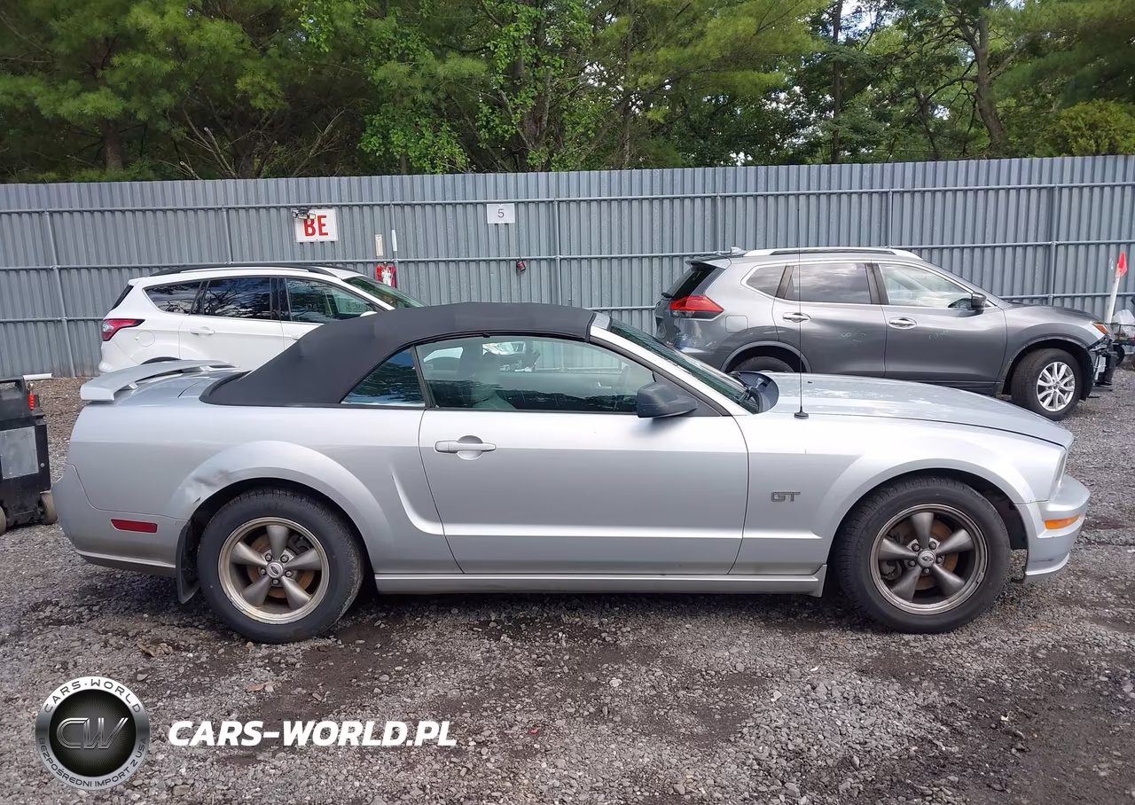 2005 Ford Mustang Gt VIN:1ZVHT85H555236206 - 13