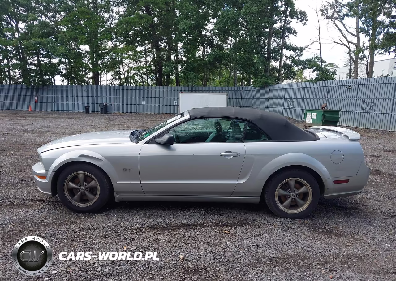 2005 Ford Mustang Gt VIN:1ZVHT85H555236206 - 14