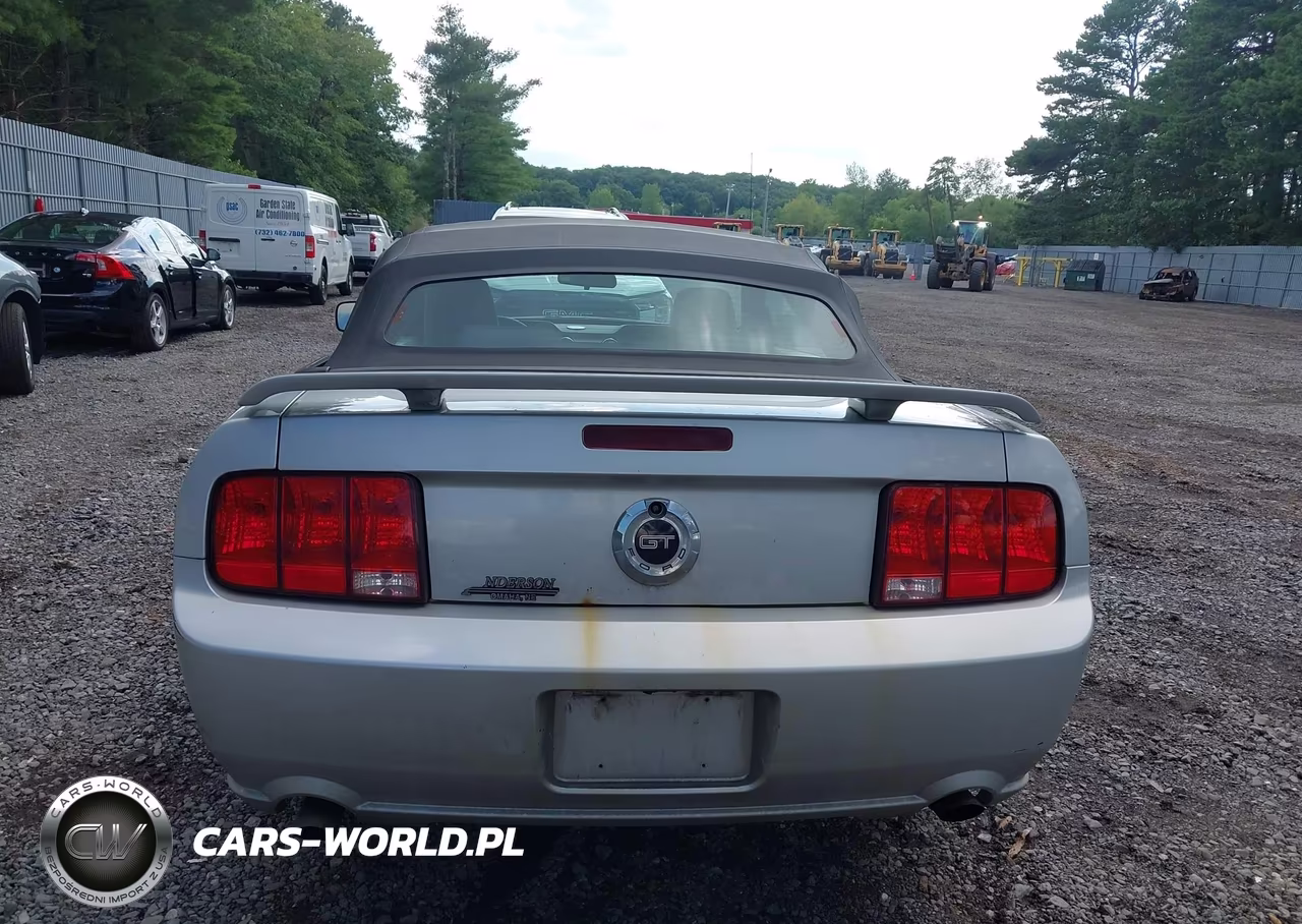 2005 Ford Mustang Gt VIN:1ZVHT85H555236206 - 16