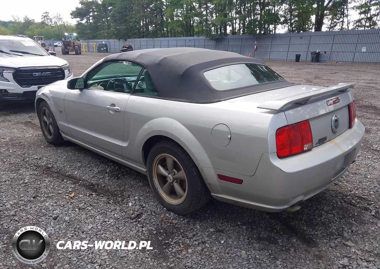 2005 Ford Mustang Gt VIN:1ZVHT85H555236206 - 3