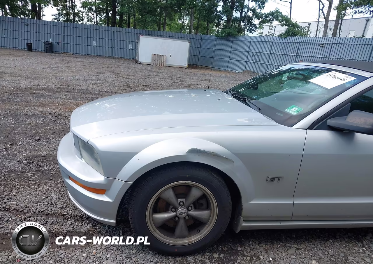 2005 Ford Mustang Gt VIN:1ZVHT85H555236206 - 6