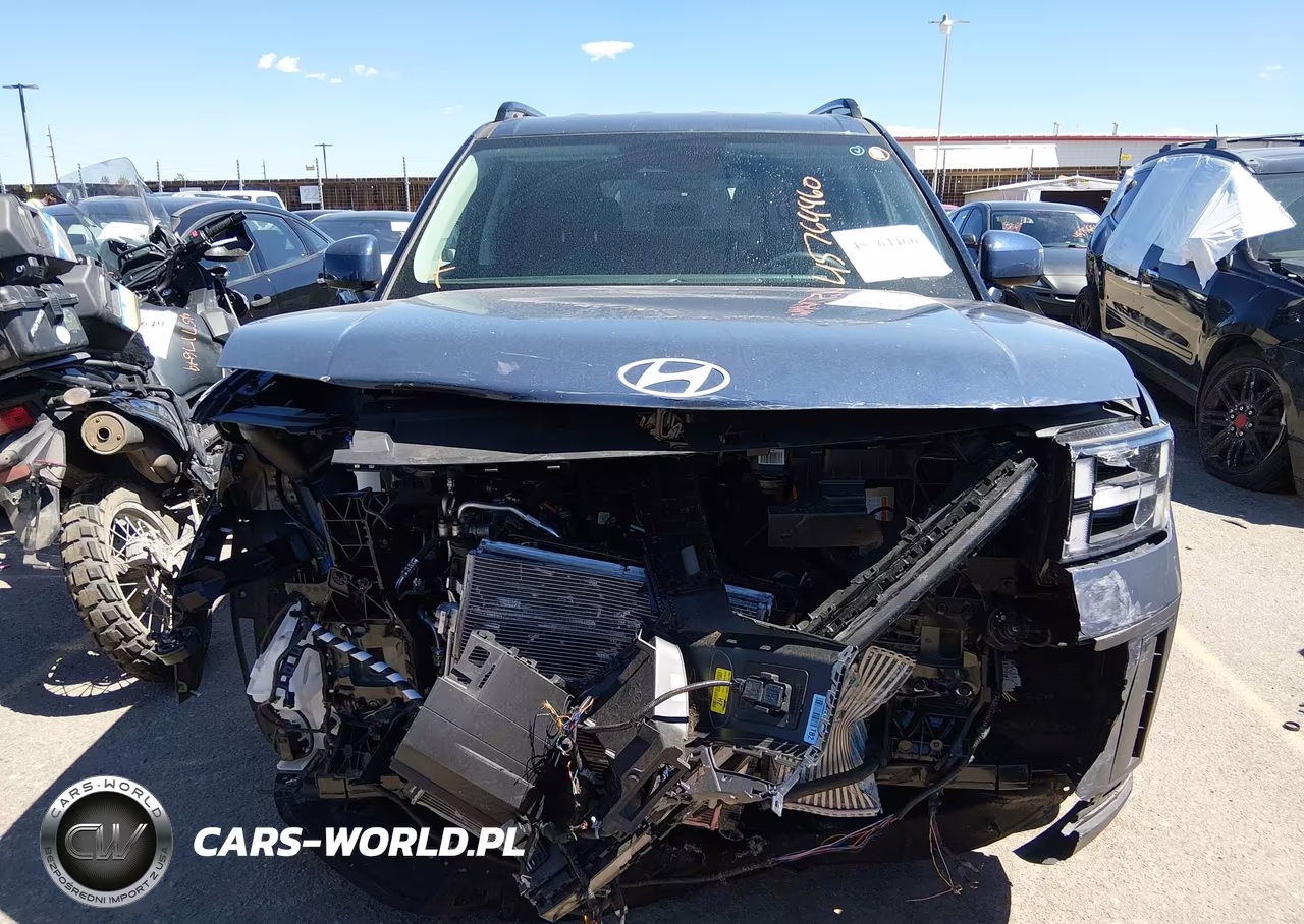 2025 Hyundai Santa Fe Hybrid Sel VIN:5NMP2DG14SH069002 - 12