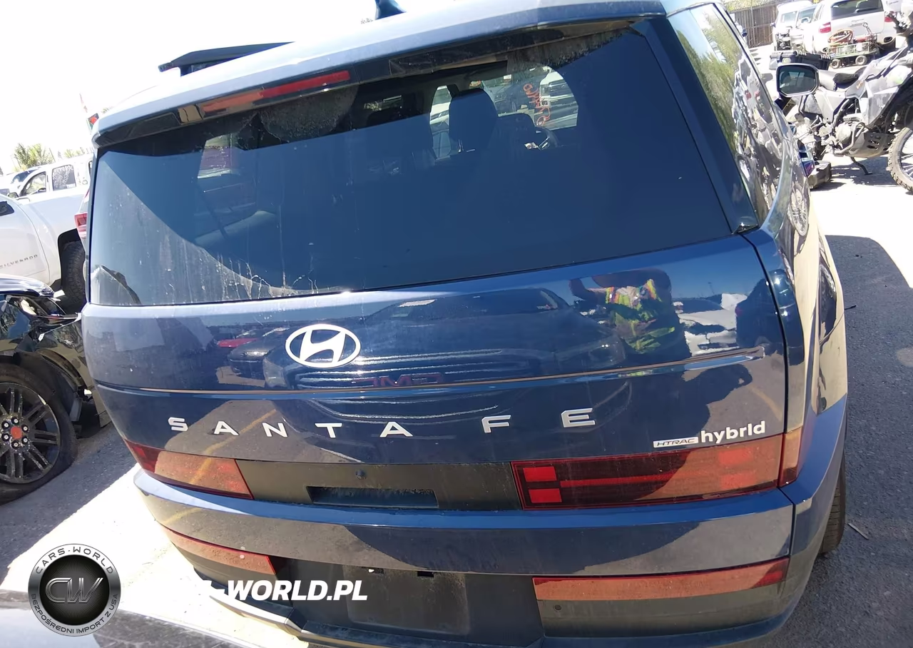 2025 Hyundai Santa Fe Hybrid Sel VIN:5NMP2DG14SH069002 - 16