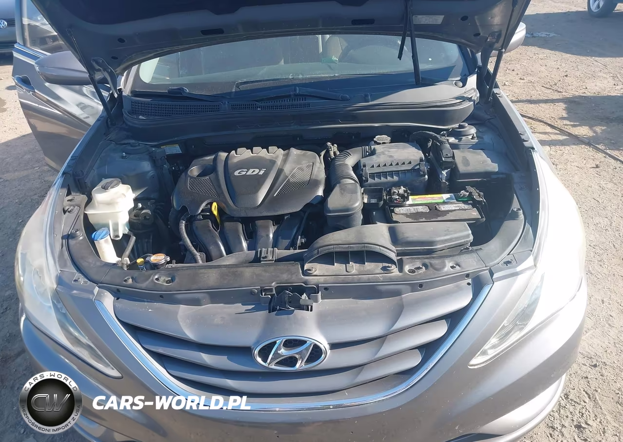 2011 Hyundai Sonata Gls VIN:5NPEB4AC9BH219402 - 10