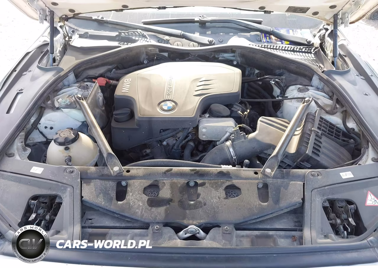 2013 BMW 528I VIN:WBAXG5C56DDY34915 - 10