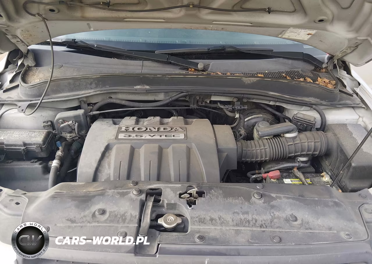 2005 Honda Pilot Ex-L VIN:5FNYF18505B063860 - 10