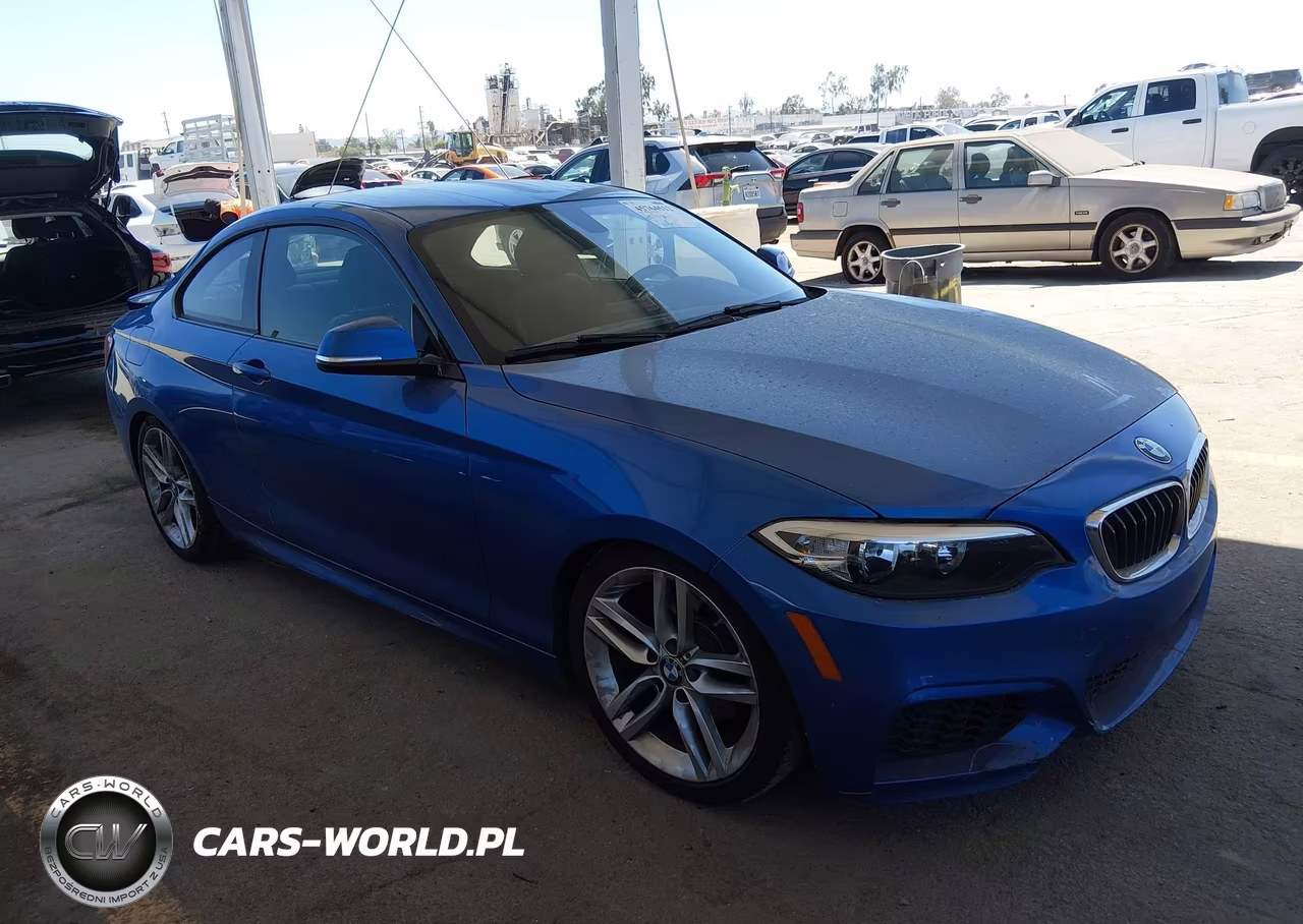 2015 BMW 228I