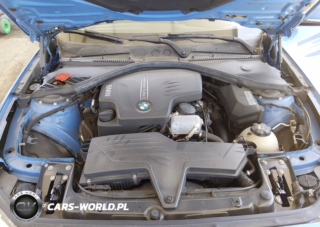 2015 BMW 228I VIN:WBA1F9C53FVW98532 - 10