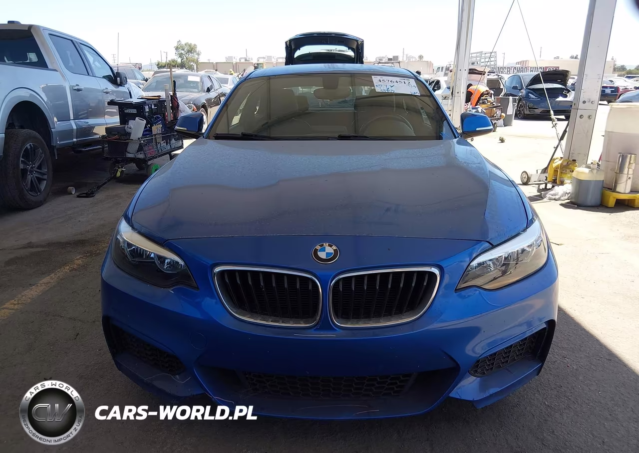 2015 BMW 228I VIN:WBA1F9C53FVW98532 - 12
