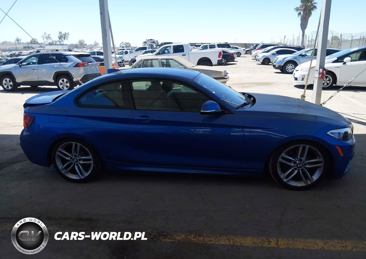 2015 BMW 228I VIN:WBA1F9C53FVW98532 - 13