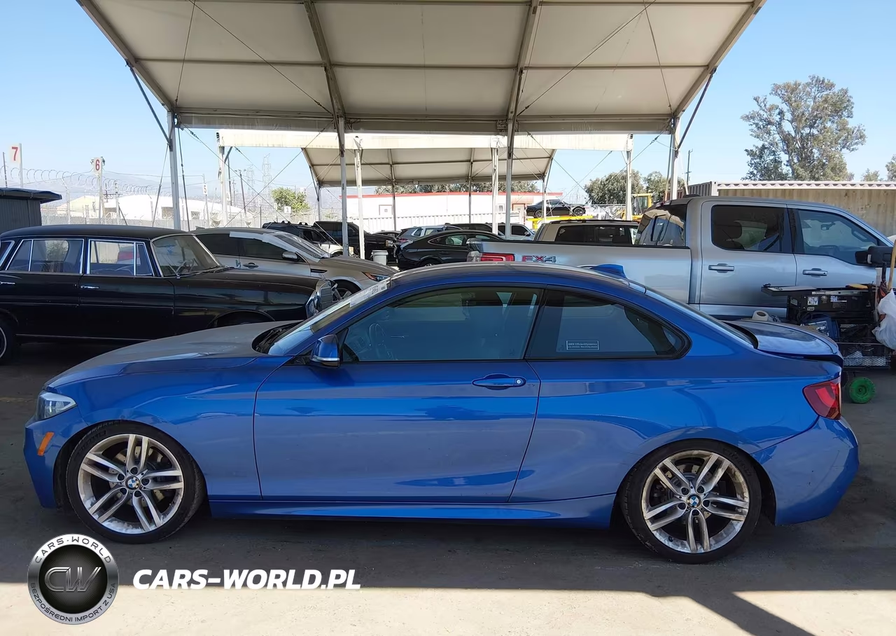 2015 BMW 228I VIN:WBA1F9C53FVW98532 - 14