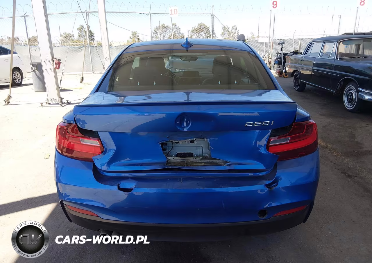 2015 BMW 228I VIN:WBA1F9C53FVW98532 - 16