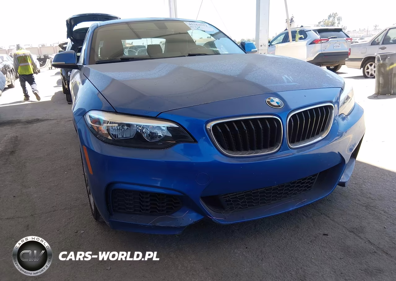 2015 BMW 228I VIN:WBA1F9C53FVW98532 - 17