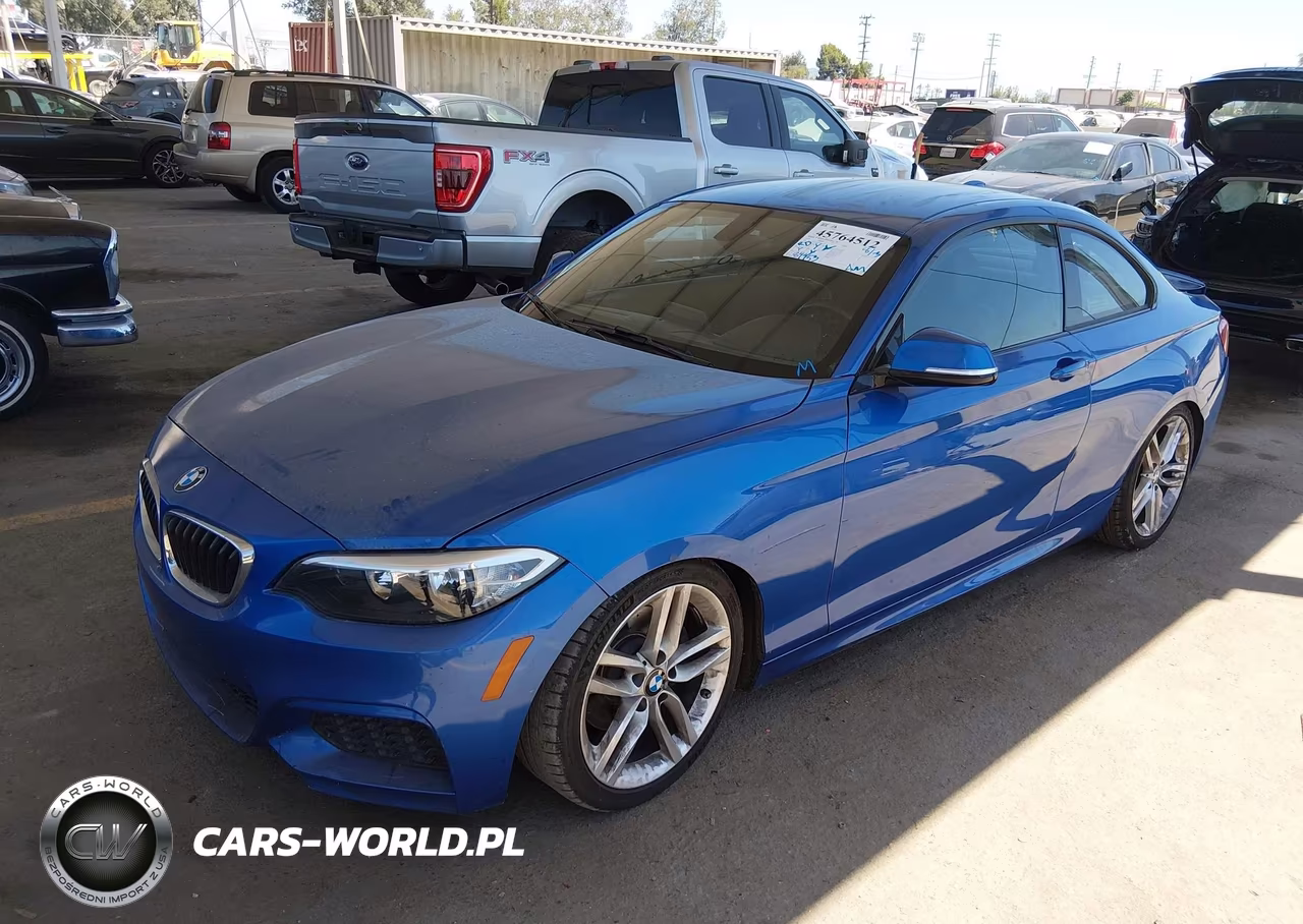 2015 BMW 228I VIN:WBA1F9C53FVW98532 - 2