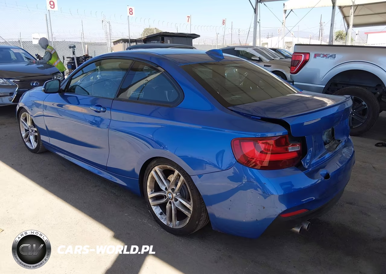 2015 BMW 228I VIN:WBA1F9C53FVW98532 - 3