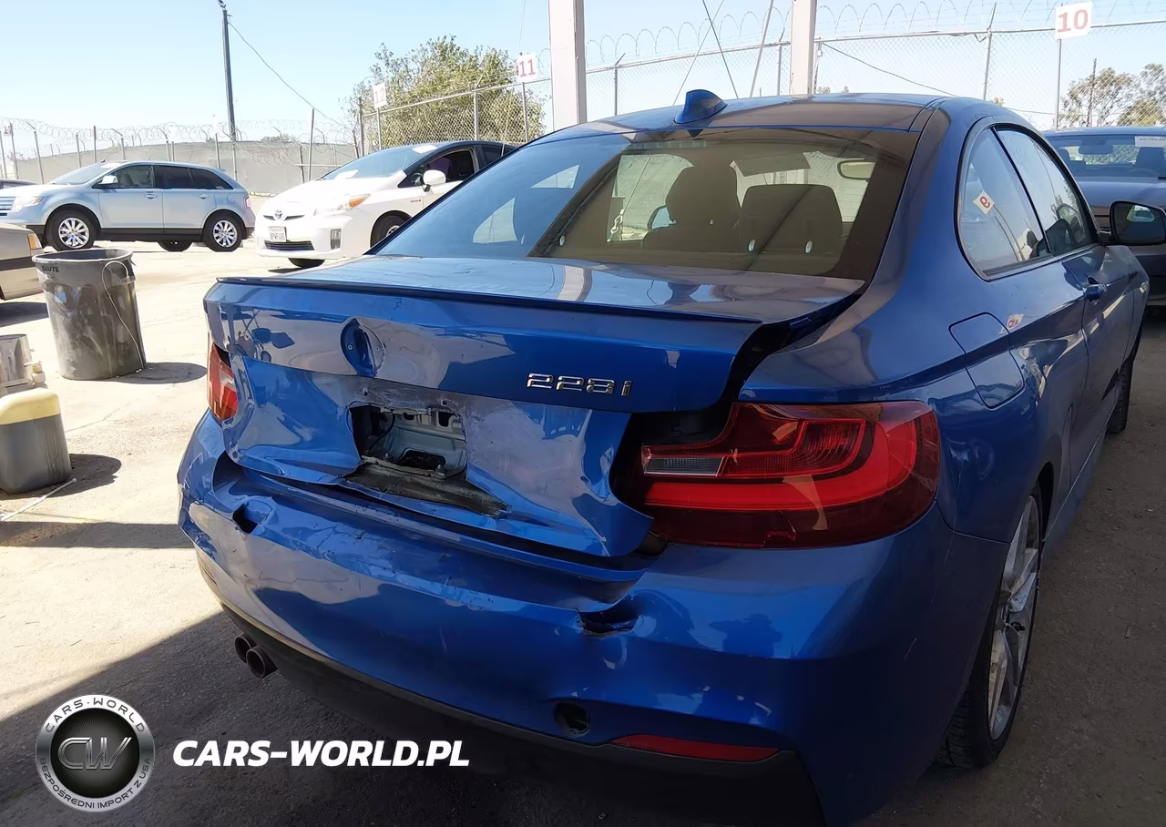2015 BMW 228I VIN:WBA1F9C53FVW98532 - 6