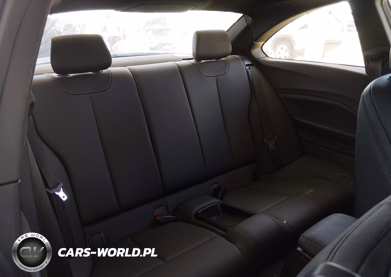 2015 BMW 228I VIN:WBA1F9C53FVW98532 - 8