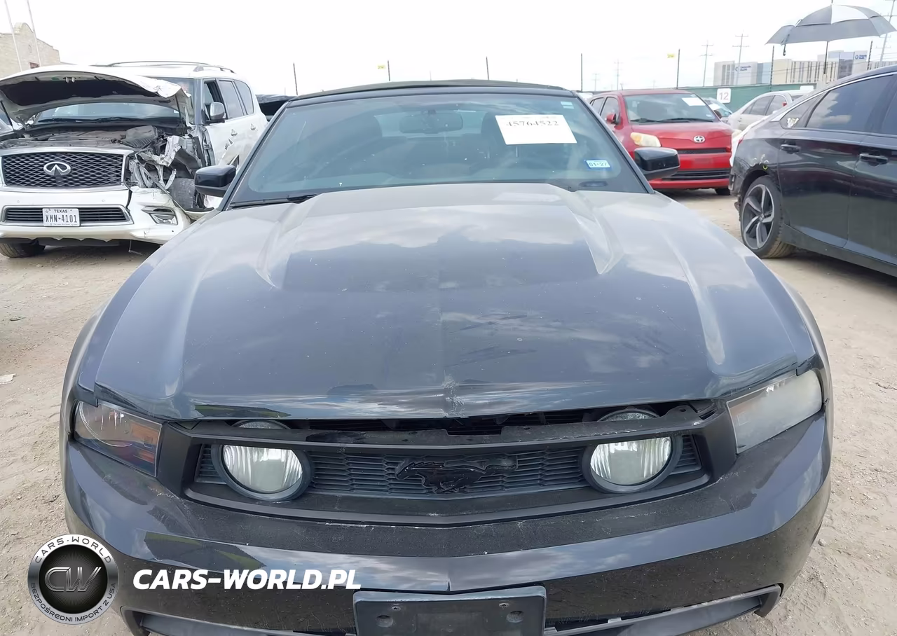 2010 Ford Mustang Gt Premium VIN:1ZVBP8FH9A5142834 - 12