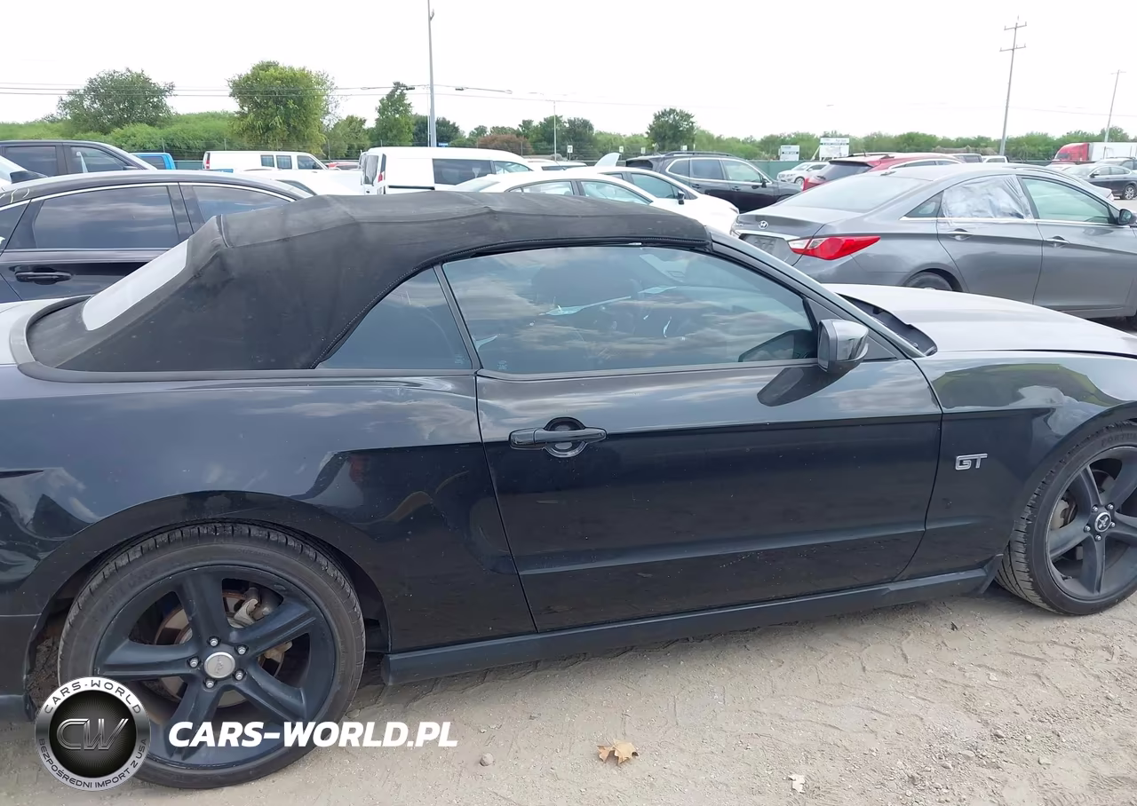 2010 Ford Mustang Gt Premium VIN:1ZVBP8FH9A5142834 - 13