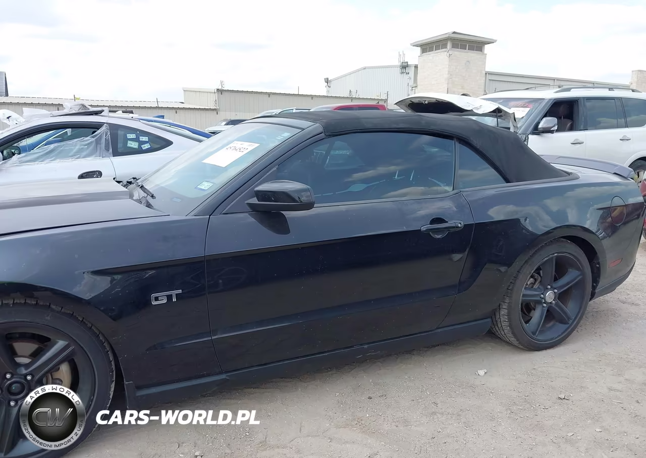 2010 Ford Mustang Gt Premium VIN:1ZVBP8FH9A5142834 - 14