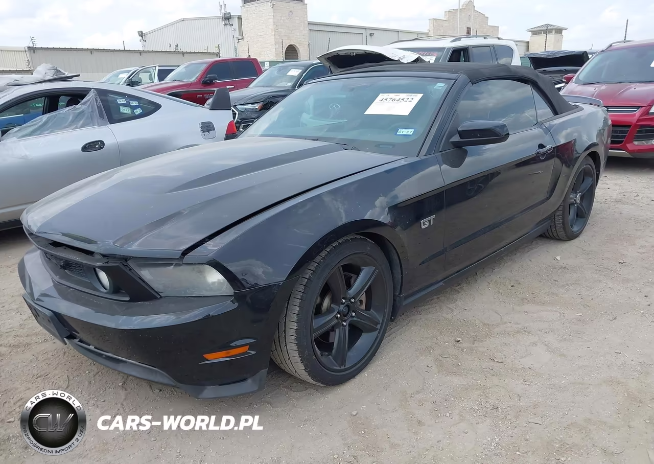 2010 Ford Mustang Gt Premium VIN:1ZVBP8FH9A5142834 - 2