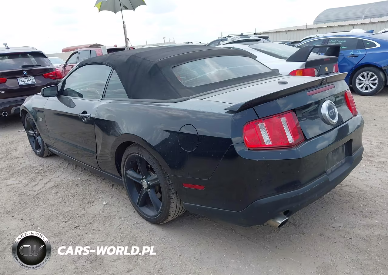 2010 Ford Mustang Gt Premium VIN:1ZVBP8FH9A5142834 - 3