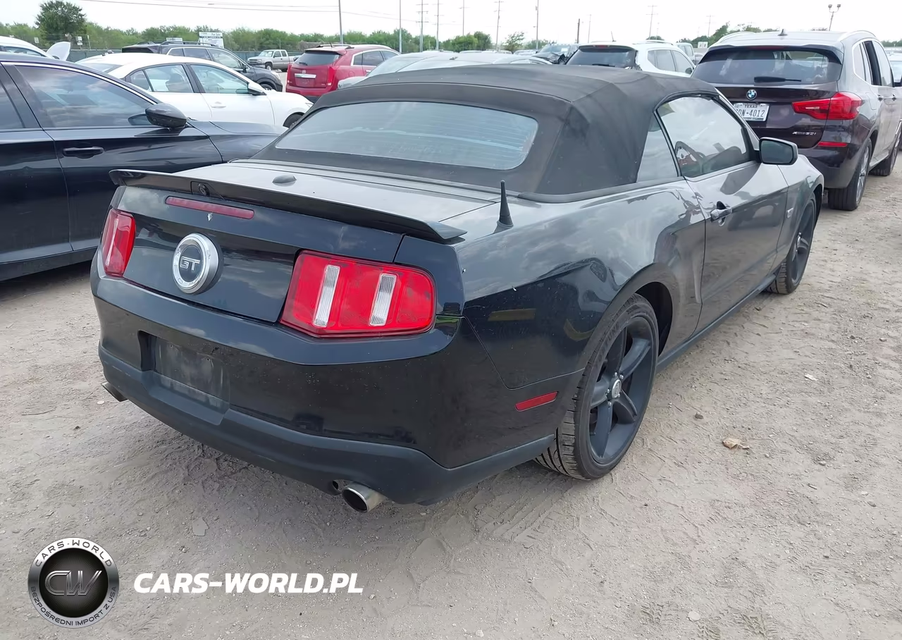 2010 Ford Mustang Gt Premium VIN:1ZVBP8FH9A5142834 - 4
