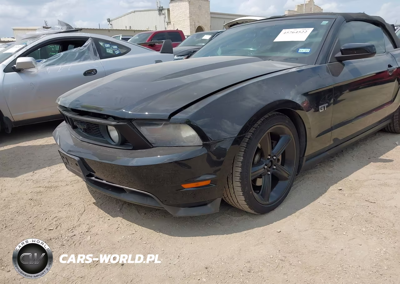 2010 Ford Mustang Gt Premium VIN:1ZVBP8FH9A5142834 - 6
