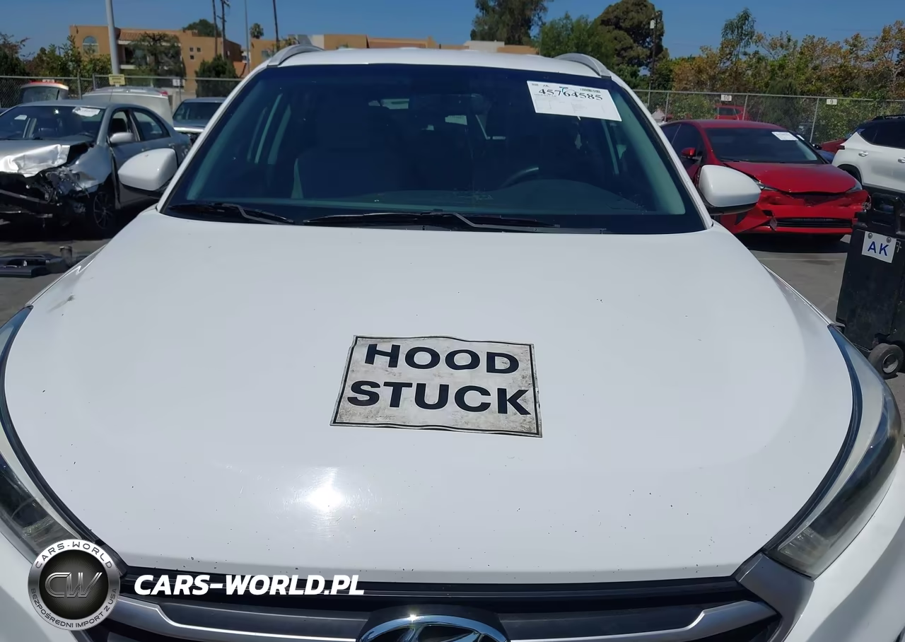 2017 Hyundai Tucson Se VIN:KM8J33A4XHU331425 - 10