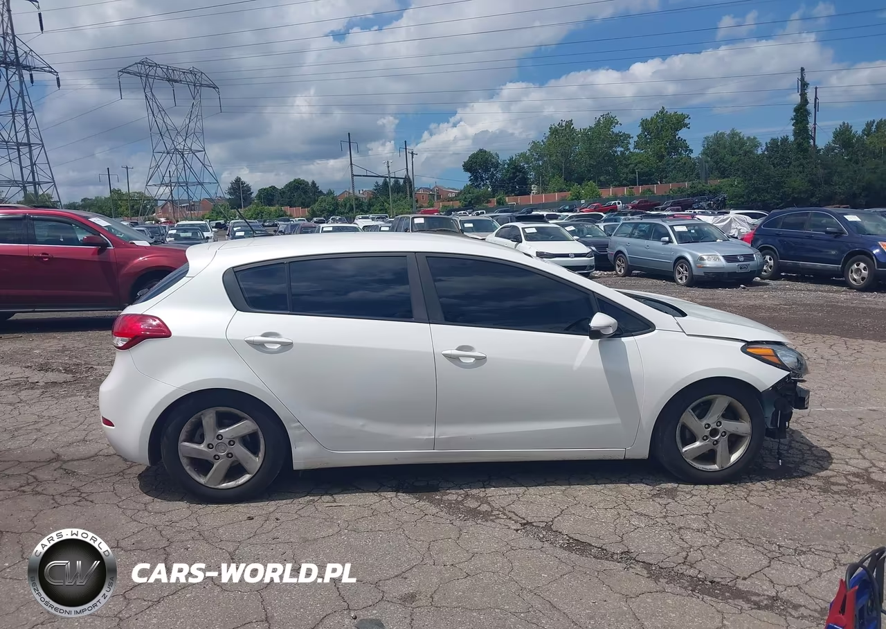 2016 Kia Forte Lx VIN:KNAFK5A82G5620980 - 13