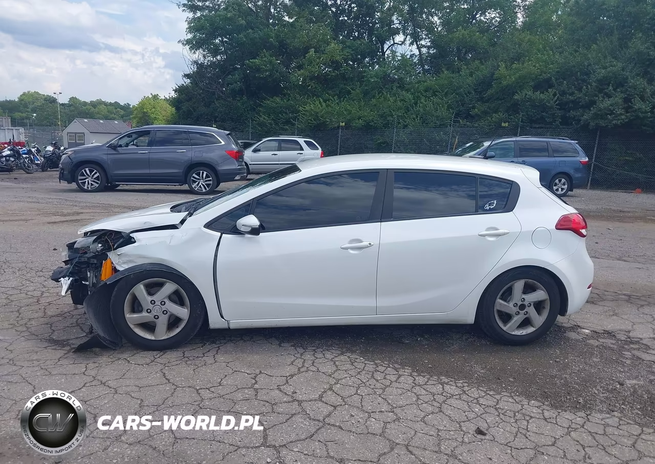 2016 Kia Forte Lx VIN:KNAFK5A82G5620980 - 14