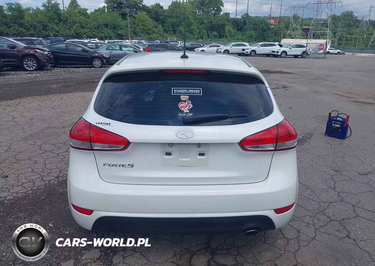 2016 Kia Forte Lx VIN:KNAFK5A82G5620980 - 16